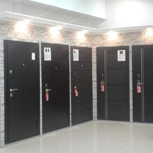 выставка входных дверей. 