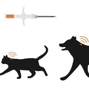 Подкожные микрочипы в шприцах для чипирования домашних питомцев: кошек и собак. Сканеры и считыватели ручные для ветклиники и заводчиков