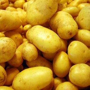 Сорт-Гала. Среднеранний, жёлтый картофель, мякоть жёлтого цвета.