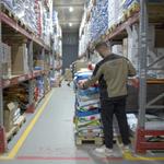 Товары для домашних животных оптом