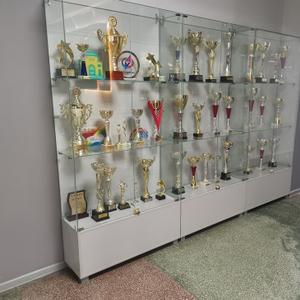 Витрины для кубков