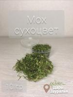 Мох сухоцвет Д Предметы D Items