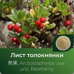 Толокнянки экстракт сухой https://altai-extracts.ru/bearberry