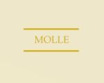 Molle — женская одежда лучшего качества по доступным ценам