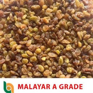 Malayar Grade A