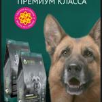 Спонсор лагеря DOG FactОR NN