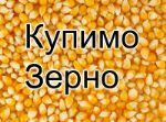 АвтоМама-Транс — куплю пшеницу 5 класса от 500 тонн