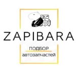 Запибара — магазин автозапчастей на маркетплейсах