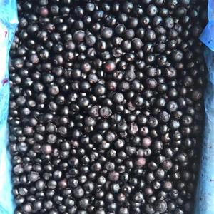 Frozen blueberry whole