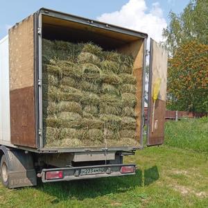 Сено в тюках премиум