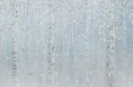 Интерьерная картина Графис на холсте "Туманное утро" GRAF 23005