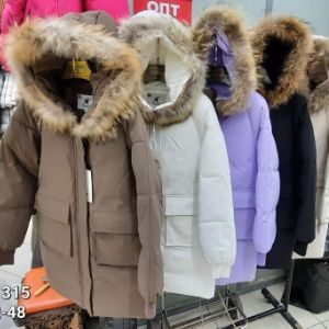 Одежда верхняя швейная женская из шерстяных тканей, из тканей из химических волокон и нитей, в том числе утепленные натуральным пухом, химическими материалами (холлофайбер, синтепон): куртки, пуховики, пальто
