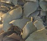 Рапсовый жмых оптом. Протеин 37-38%. Отгрузка от 500 тонн. По РФ и на экспорт