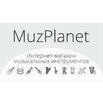 Интернет-магазин музыкальных инструментов в Санкт-Петербурге