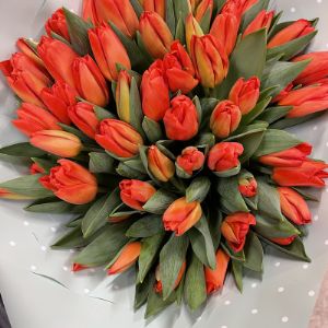 Лалибелла