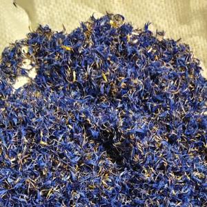 синий василек