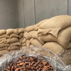 Какао бобы в мешках на складе в Конакри