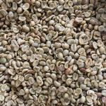 Arabica G2, Fully washed SCR 18