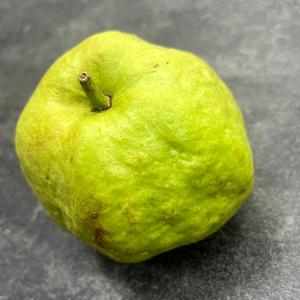 Гуава (белая, розовая)