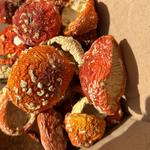 Мухомор Красный / Amanita muscaria