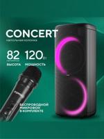 Портативная колонка FUMIKO CONCERT