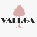 ValiGa — оптово-розничная торговля в категории товаров для взрослых