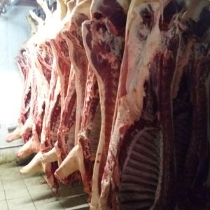 Свиноматки