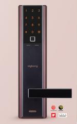 Умный замок Zigbang SHP-DH538