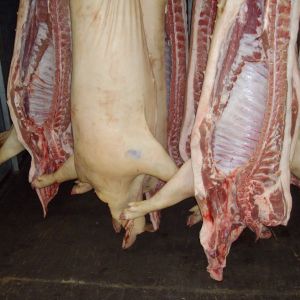 Свинина полутуши от производителя 146руб