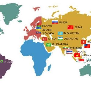 Компания Dongdong Gurimoo в настоящее время экспортирует свои бренды LEBELAGE и BlUMEI в 20 
стран, включая Россию, Беларусь, Украину, Мьянму, Турцию, Бразилию, Тайвань, Таиланд, Вьетнам 
и др. страны, прилагает дальнейшие усилия для утверждения себя в качестве глобального бренда