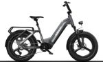 Himiway Big Dog — Electric Cargo Bike BIG-DOG