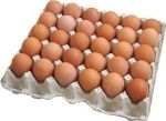 Белагромикс — яйцо куриное оптом