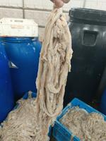 Черева говяжья (халяль)