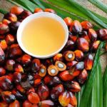 Пальмовый олеин Индонезия