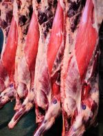 Продсервис — оптовая торговля мясом