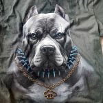 Новинки брендовых футболок с собаками и традиционная этника нетрадиционного региона