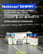 Вакцина Нобивак Dhppi