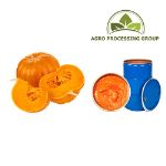 Тыквенное пюре (концентрат) — Agro Processing Group