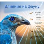Безопасность и экология: свет, который заботится о вас и природе