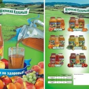 Соки. Соки от производителя ТМ"Широкий Карамыш"
