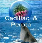 Cadillac &  Perota — большие размеры женский текстиль и кожа