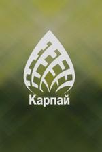 производство жареных фасованных семечек