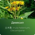Девясила экстракт сухой https://altai-extracts.ru/devyasil