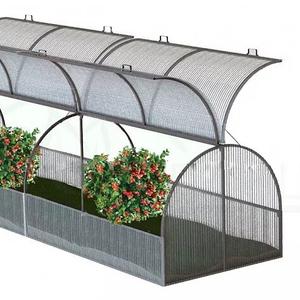 Парник Бабочка