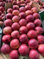 Яблоки оптом.