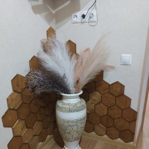 Соты