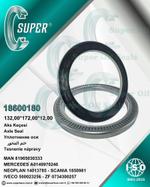 УПЛОТНЕНИЕ ОСИ DAF 18600180 18600180