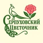 выращиваем сезонные цветы, продаем корни, луковицы и рассаду