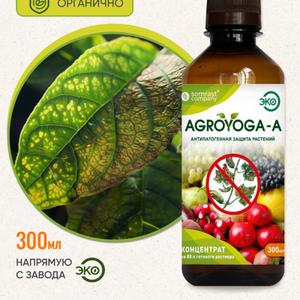 Средство «AGROYOGA–А» – высокоэффективное средство защиты,
профилактики и лечения всех видов растений и посадочного материала от
широкого спектра инфекционных болезней и патогенных поражений.
Препарат «AGROYOGA–А» незаменимое средство в борьбе с такими
распространенными
болезнями
(Гуммоз, Парша), Фитофтороз, Ржавчина, Мучнистая роса, различного вида
Пятнистости, черный Рак и множеством других, вызванных различными
Фитопатогенами.