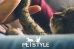 Pet style — изготовление когтеточек
